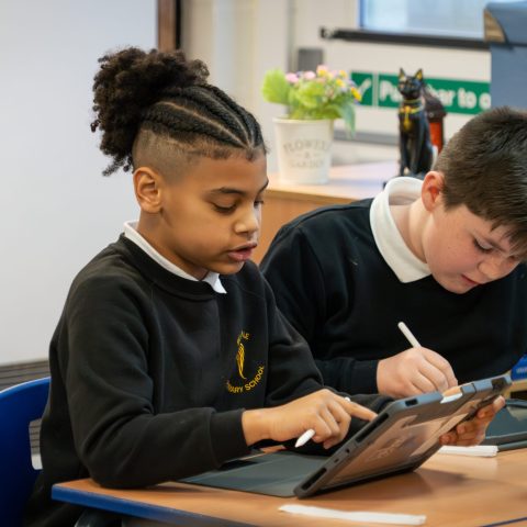 DSC08599-Enhanced-NR